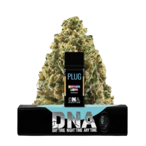 PLUG N PLAY NORTHERN LIGHTS INDICA