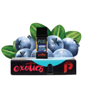 PLUG N PLAY- BERRY GANG (HYBRID)