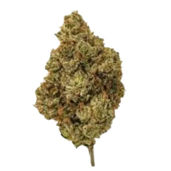 ULTRA EXOTIC - GMO COOKIES - 5G (INDICA)