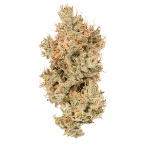 SUPER SILVER HAZE - 5 GRAMS (SATIVA)