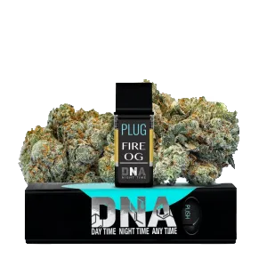 PLUG N PLAY POD 1 GRAM - FIRE OG (INDICA)
