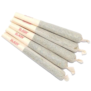 HOUSE PREROLL - 4 PACK (HYBRID)