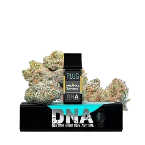 PLUG N PLAY POD 1 GRAM - PINEAPPLE EXPRESS (HYBRID)