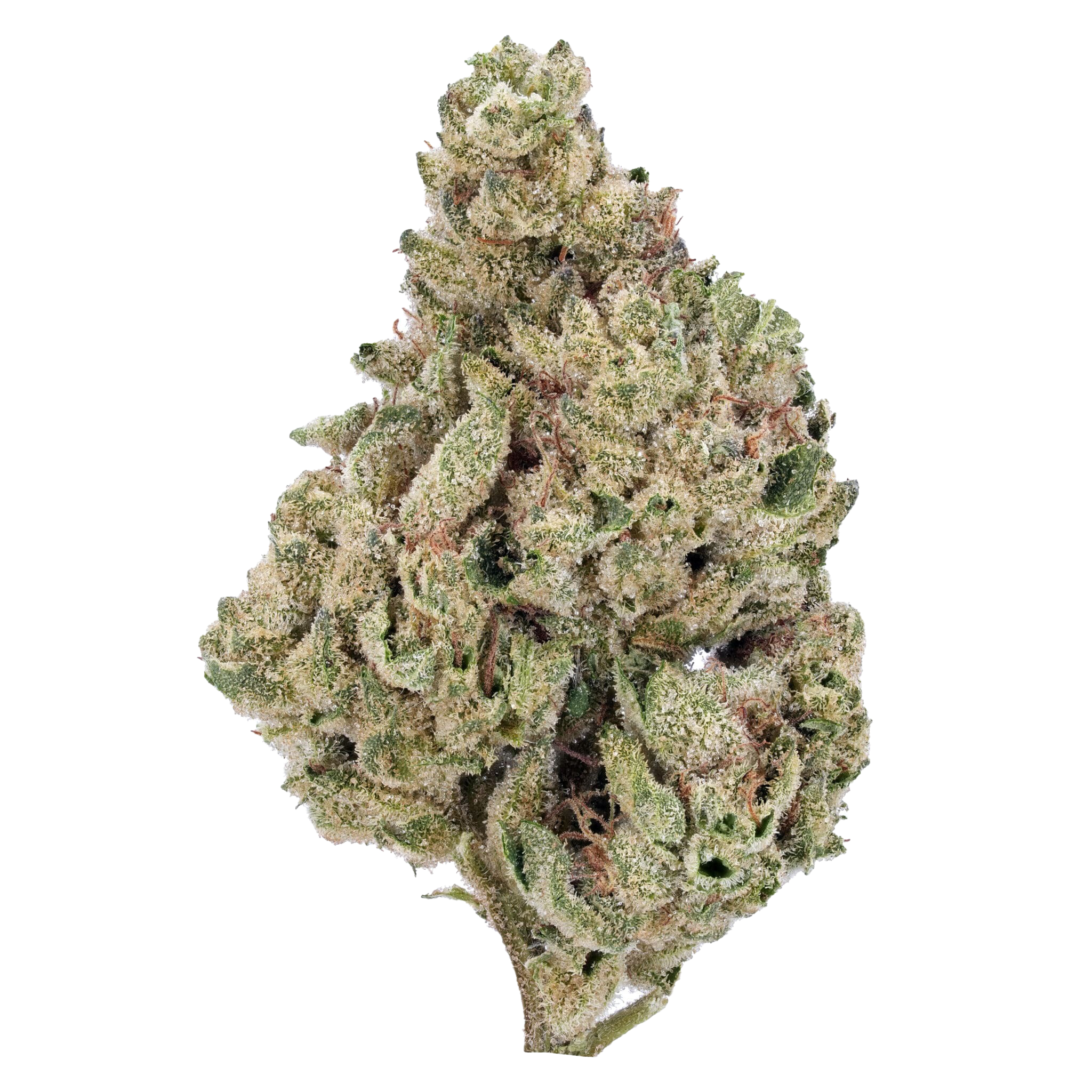 SUPER LEMON HAZE - 5 GRAMS (SATIVA)